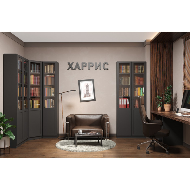 Шкаф для книг двухстворчатый Харрис
