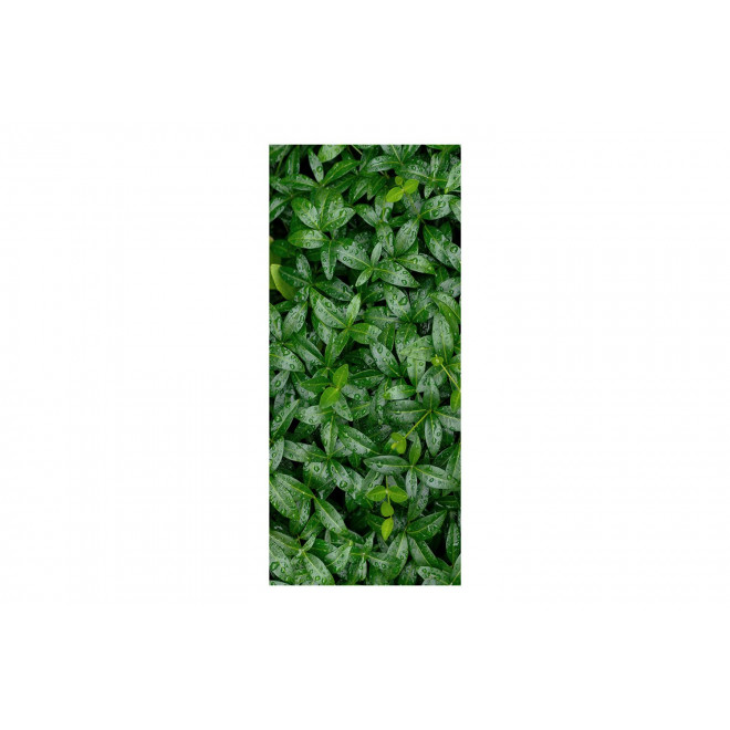Интерьерная панель AlbiCo Greenhouse Green leaves